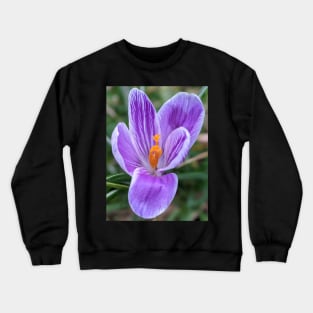 Purple, Orange and White Flower 4 Crewneck Sweatshirt